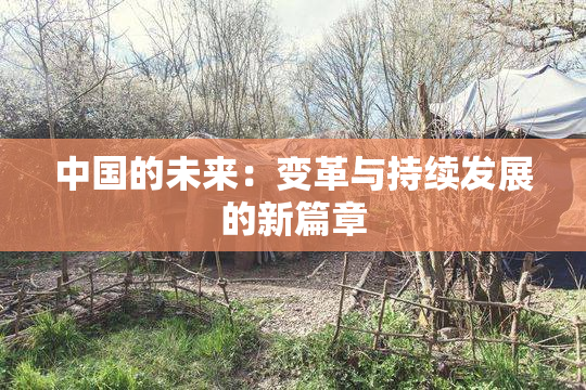 中国的未来：变革与持续发展的新篇章