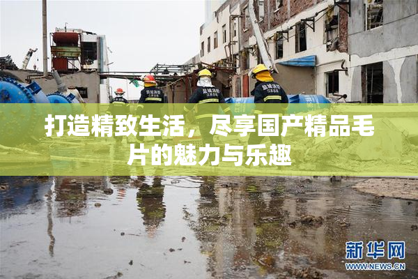打造精致生活，尽享国产精品毛片的魅力与乐趣