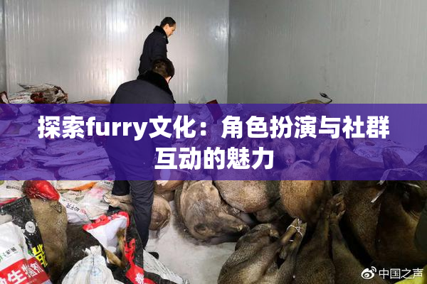 探索furry文化：角色扮演与社群互动的魅力