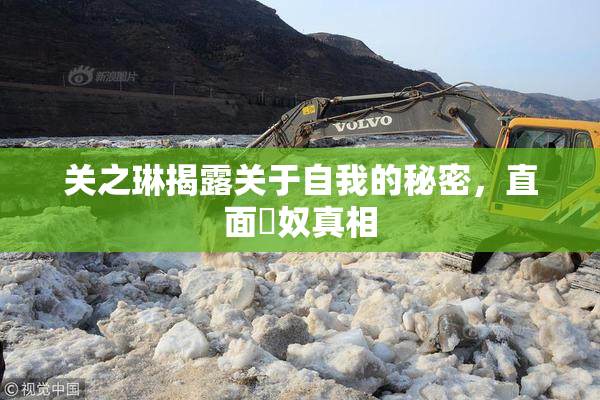 关之琳揭露关于自我的秘密，直面婬奴真相