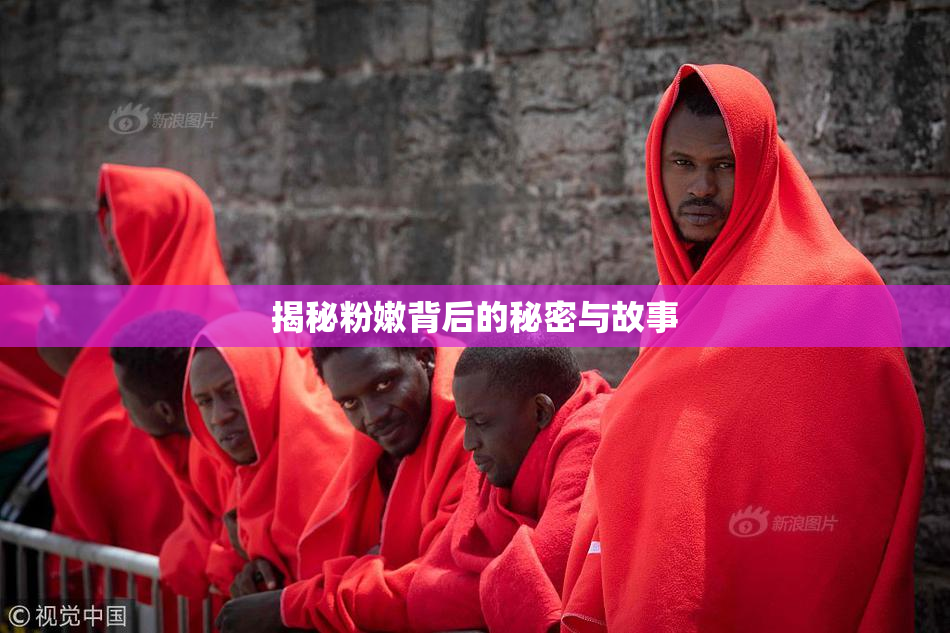 揭秘粉嫩背后的秘密与故事
