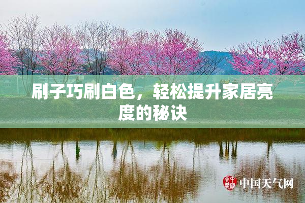 刷子巧刷白色，轻松提升家居亮度的秘诀