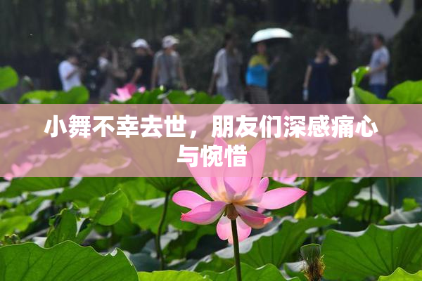 小舞不幸去世，朋友们深感痛心与惋惜