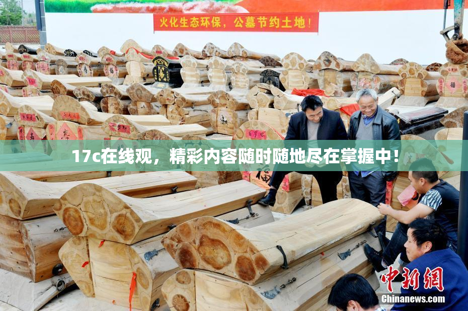 17c在线观，精彩内容随时随地尽在掌握中！