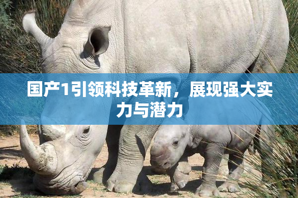 国产1引领科技革新，展现强大实力与潜力