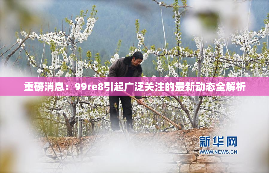 重磅消息：99re8引起广泛关注的最新动态全解析