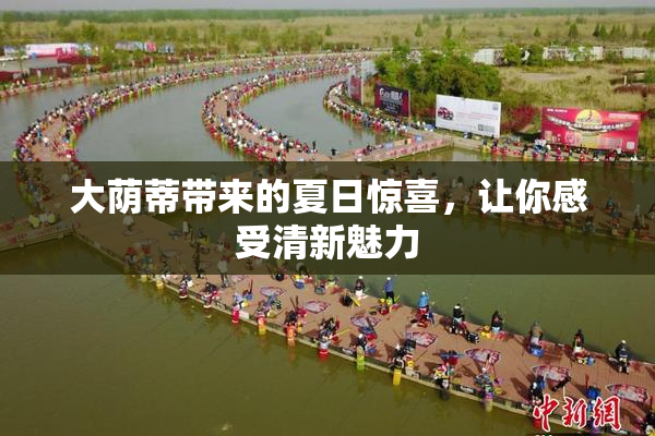 大荫蒂带来的夏日惊喜，让你感受清新魅力