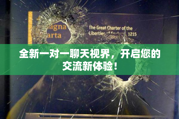 全新一对一聊天视界，开启您的交流新体验！