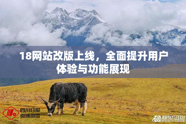 18网站改版上线，全面提升用户体验与功能展现