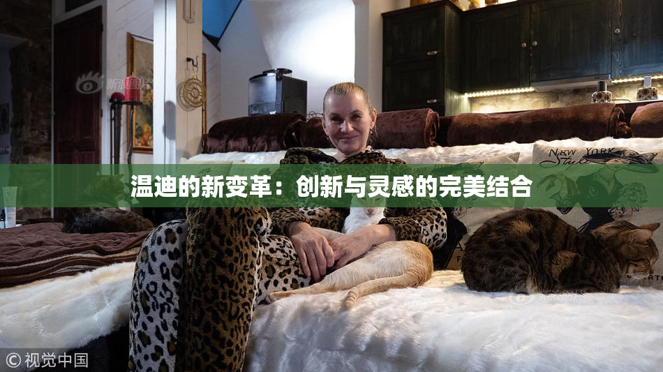 温迪的新变革：创新与灵感的完美结合