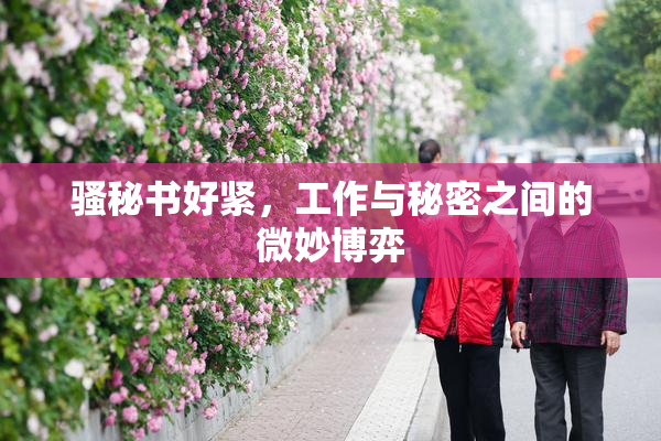 骚秘书好紧，工作与秘密之间的微妙博弈