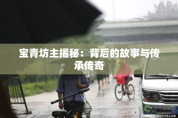 宝青坊主揭秘：背后的故事与传承传奇