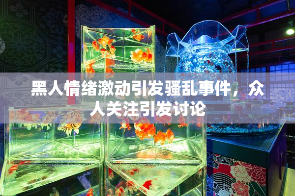 黑人情绪激动引发骚乱事件，众人关注引发讨论