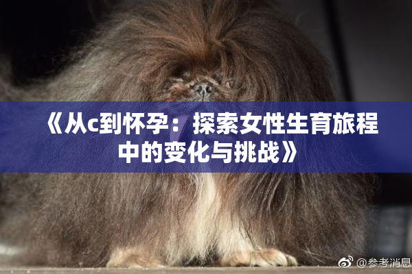 《从c到怀孕：探索女性生育旅程中的变化与挑战》