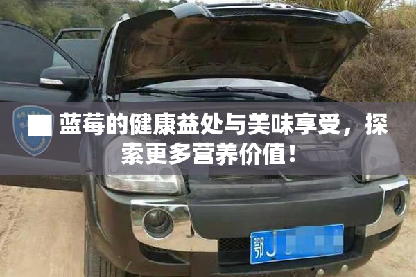 ▇ 蓝莓的健康益处与美味享受，探索更多营养价值！