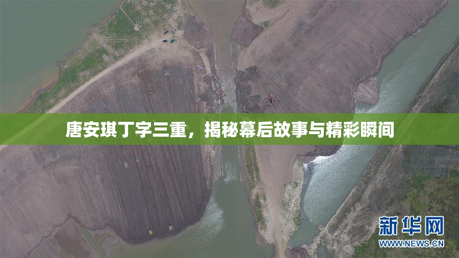 唐安琪丁字三重，揭秘幕后故事与精彩瞬间