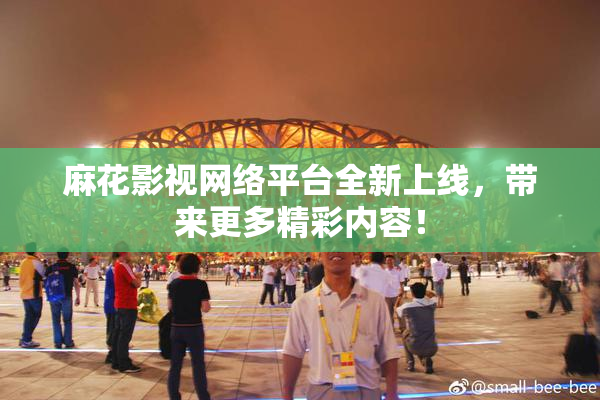 麻花影视网络平台全新上线，带来更多精彩内容！