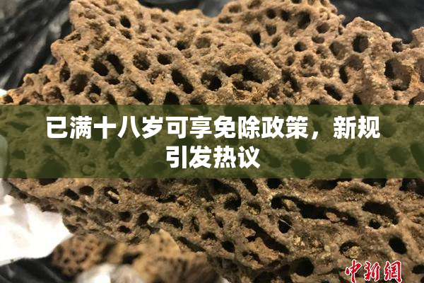 已满十八岁可享免除政策，新规引发热议