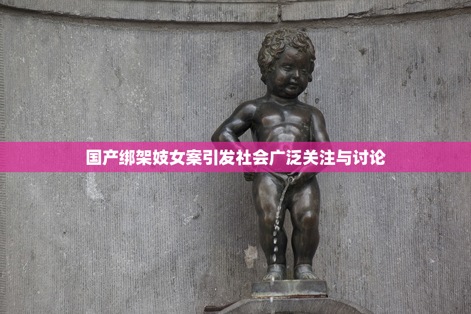 国产绑架妓女案引发社会广泛关注与讨论