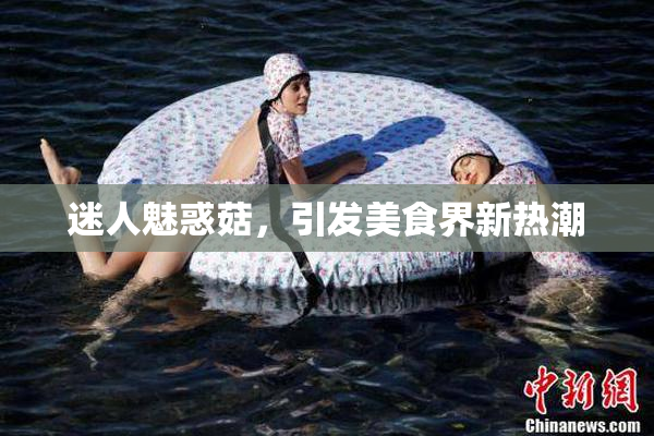迷人魅惑菇，引发美食界新热潮