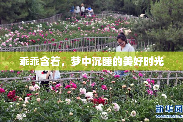 乖乖含着，梦中沉睡的美好时光