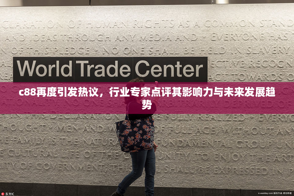 c88再度引发热议，行业专家点评其影响力与未来发展趋势