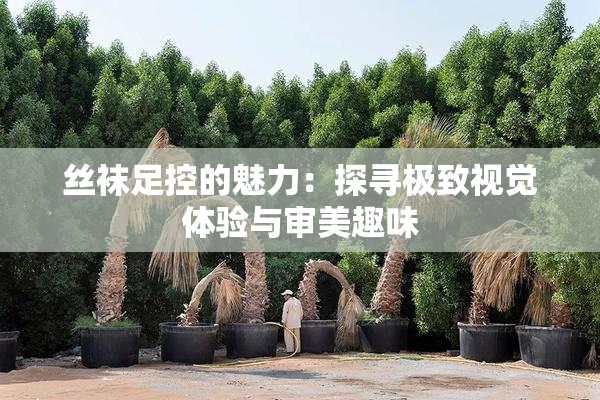 丝袜足控的魅力：探寻极致视觉体验与审美趣味