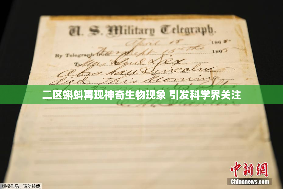 二区蝌蚪再现神奇生物现象 引发科学界关注