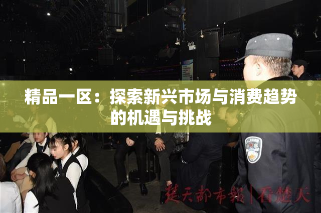 精品一区：探索新兴市场与消费趋势的机遇与挑战