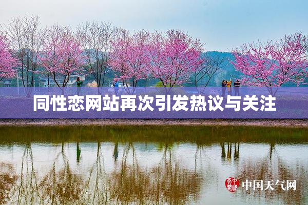 同性恋网站再次引发热议与关注