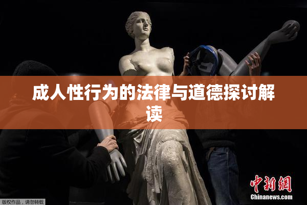 成人性行为的法律与道德探讨解读