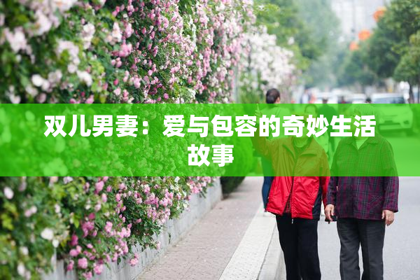 双儿男妻：爱与包容的奇妙生活故事