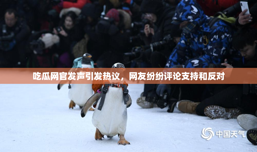 吃瓜网官发声引发热议，网友纷纷评论支持和反对