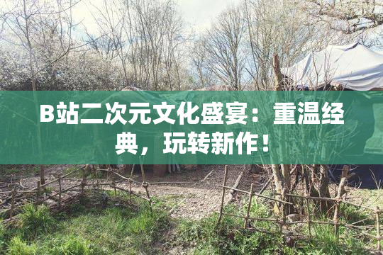 B站二次元文化盛宴：重温经典，玩转新作！
