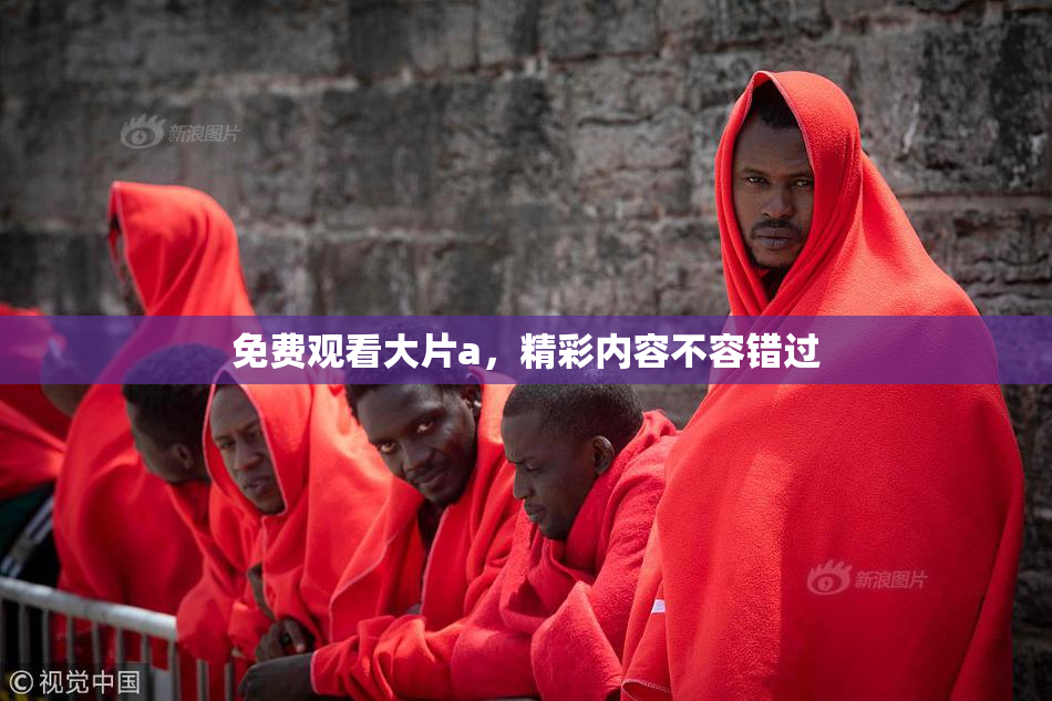 免费观看大片a，精彩内容不容错过