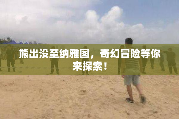 熊出没至纳雅图，奇幻冒险等你来探索！