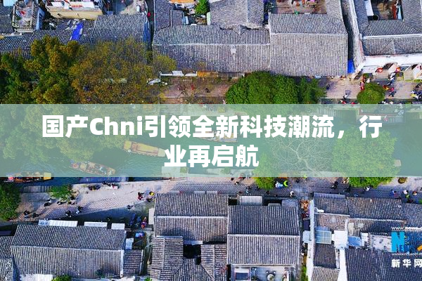 国产Chni引领全新科技潮流，行业再启航