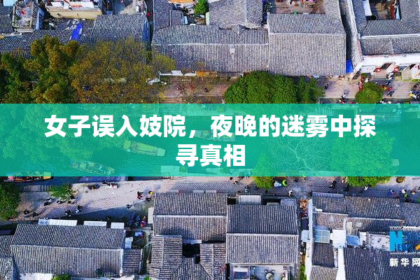 女子误入妓院，夜晚的迷雾中探寻真相