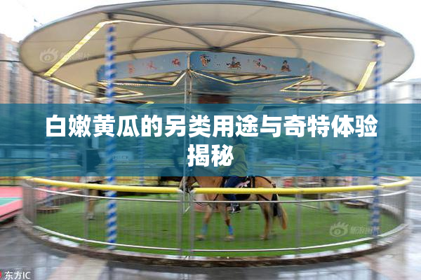 白嫩黄瓜的另类用途与奇特体验揭秘