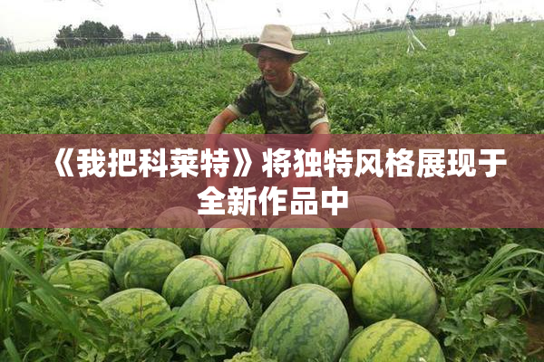 《我把科莱特》将独特风格展现于全新作品中
