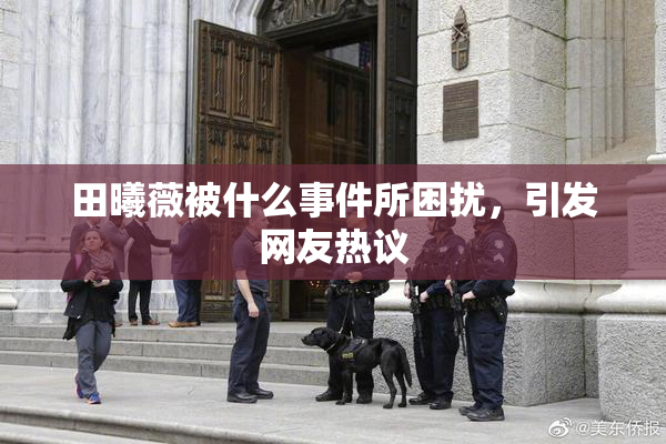 田曦薇被什么事件所困扰，引发网友热议