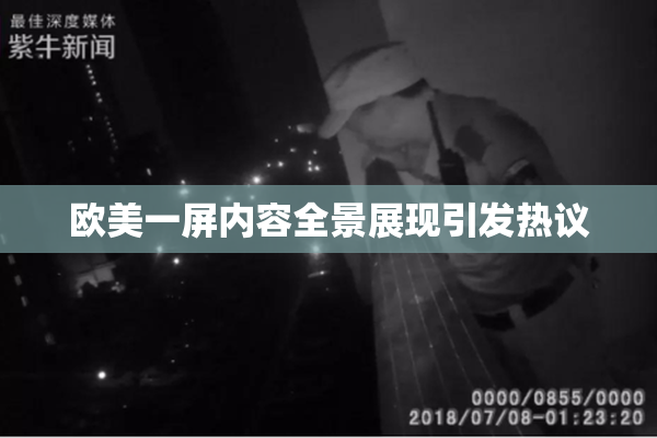 欧美一屏内容全景展现引发热议