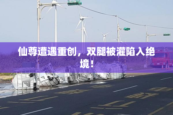 仙尊遭遇重创，双腿被灌陷入绝境！