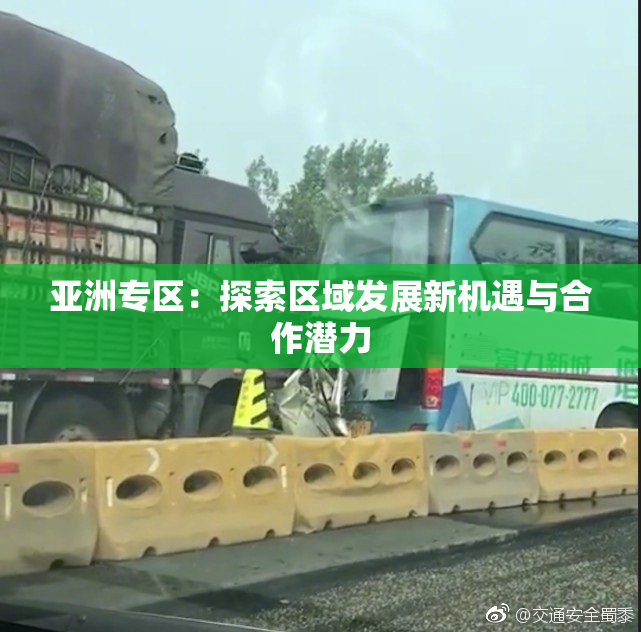 亚洲专区：探索区域发展新机遇与合作潜力