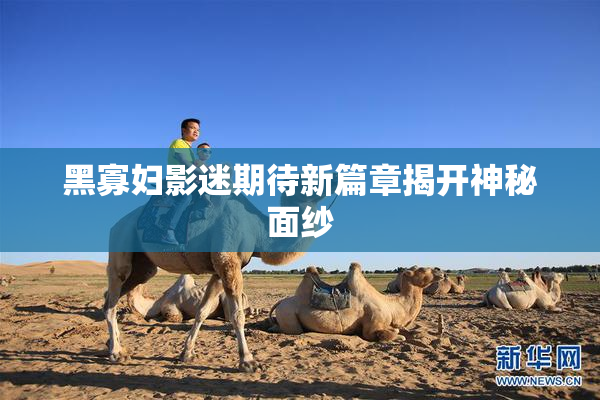 黑寡妇影迷期待新篇章揭开神秘面纱