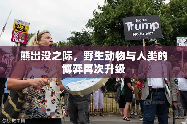 熊出没之际，野生动物与人类的博弈再次升级