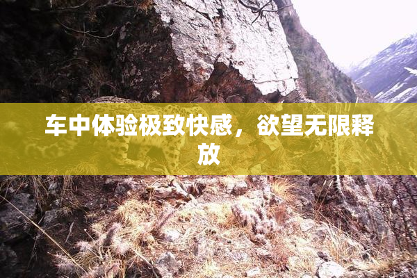 车中体验极致快感，欲望无限释放