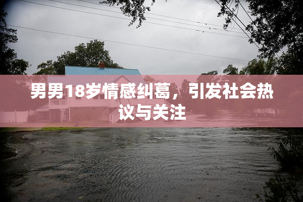 男男18岁情感纠葛，引发社会热议与关注