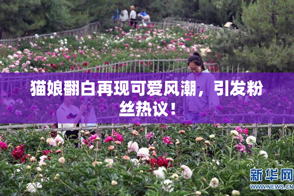 猫娘翻白再现可爱风潮，引发粉丝热议！