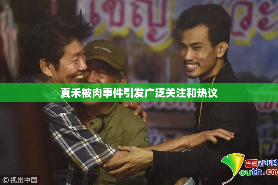 夏禾被肉事件引发广泛关注和热议